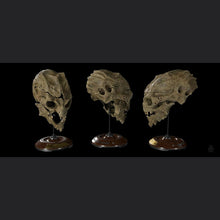 Load image into Gallery viewer, IMG_0644