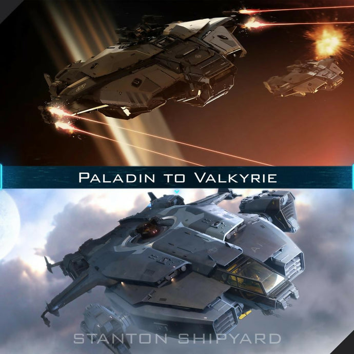 Paladin-to-Valkyrie