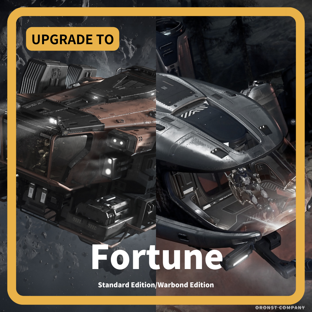 Space-Foundry.com: SRV to Fortune - Upgrade