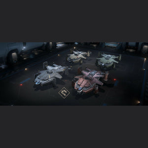Star_Citizen_ANVL_Asgard_SKU_Paint_Pack_VIP