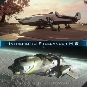 Intrepid-to-Freelancer-MIS