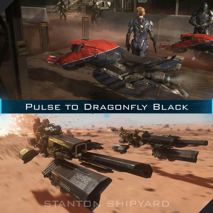 Pulse-to-Dragonfly-Black