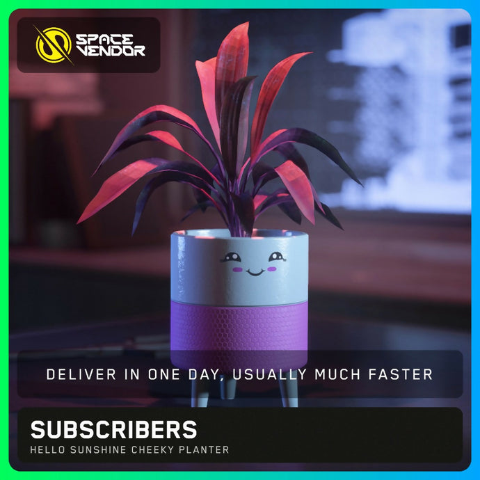 SUBSCRIBERS - Hello Sunshine Cheeky Planter