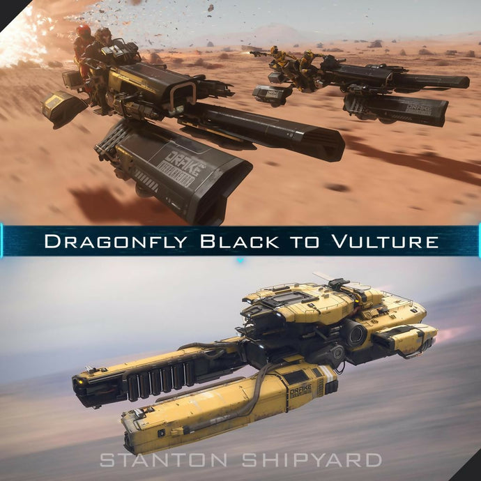 Dragonfly-Black-to-Vulture