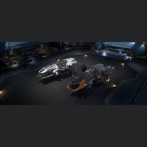 Star_Citizen_MISC_Fortune_SKU_VIP_Prospector