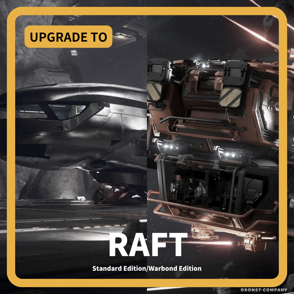 Freelancer -RAFT