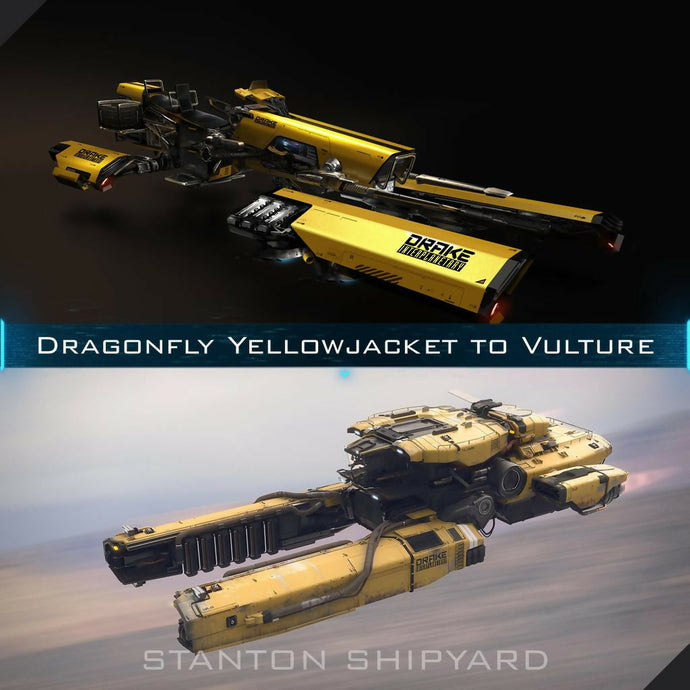 Dragonfly-Yellowjacket-to-Vulture
