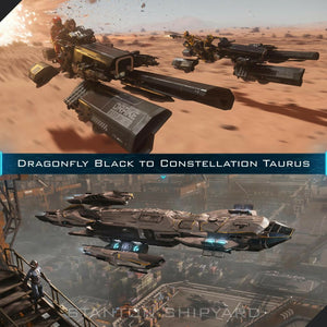 Dragonfly-Black-to-Constellation-Taurus