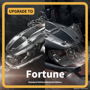 Prospector -Fortune