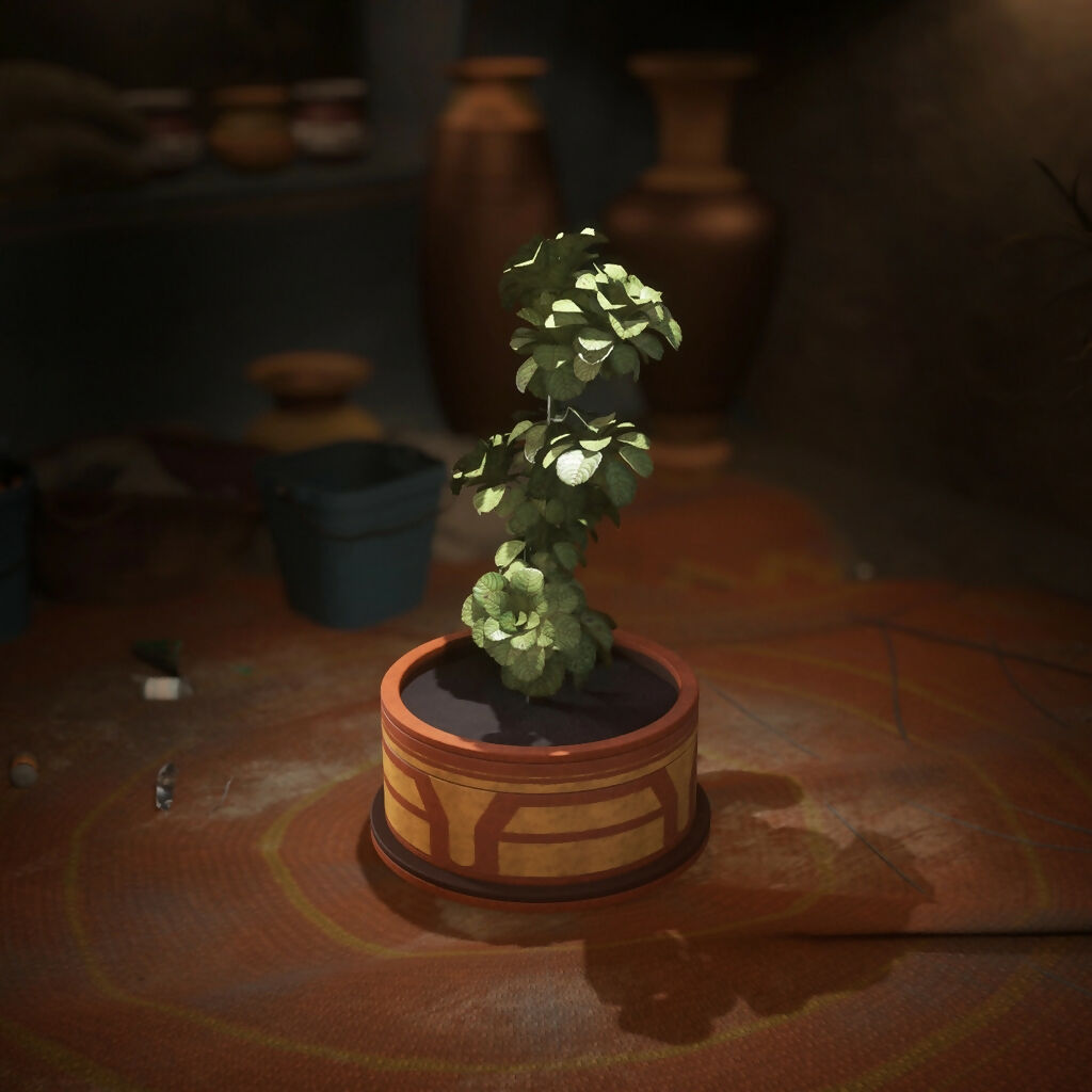 Sand Nomad Plant Pot - Subscriber Exclusive