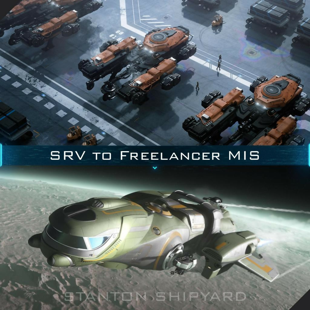 SRV-to-Freelancer-MIS