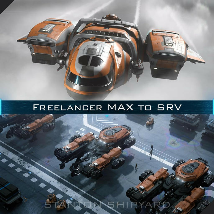 Freelancer-MAX-to-SRV