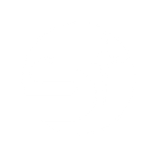 Star Racing Star Citizen Organization