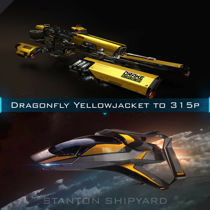 Dragonfly-Yellowjacket-to-315p