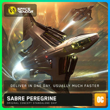 Load image into Gallery viewer, Sabre Peregrine OC + VFG Industrial Hangar + Paint + Serial Number - Original Concept | Space Foundry Marketplace.