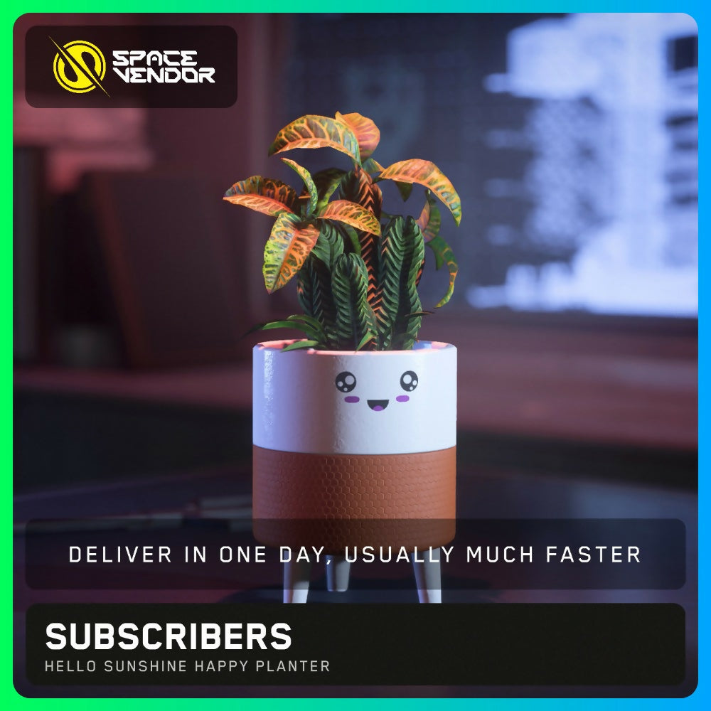 SUBSCRIBERS - Hello Sunshine Happy Planter