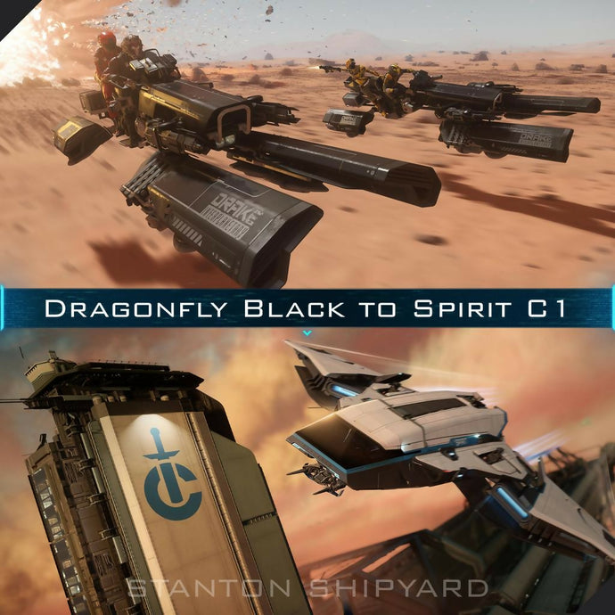 Dragonfly-Black-to-Spirit-C1