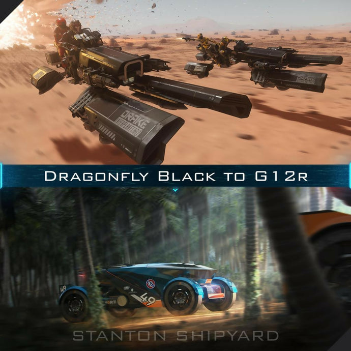 Dragonfly-Black-to-G12r