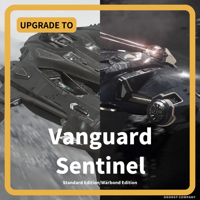 淘宝_Vanguard Warden- Vanguard Sentinel