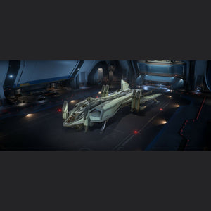Star_Citizen_AEGS_Retaliator_gold_SKU_green
