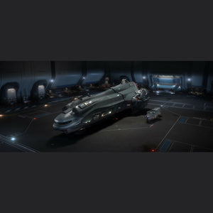 Star_Citizen_Subscriber_Flair_Store_SKU