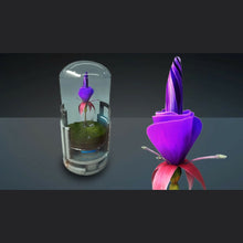 Load image into Gallery viewer, Hab Plant Set - Subscriber Exclusive | Space Foundry Marketplace.