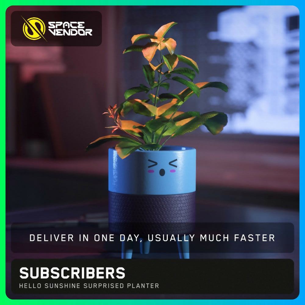 SUBSCRIBERS - Hello Sunshine Surprised Planter