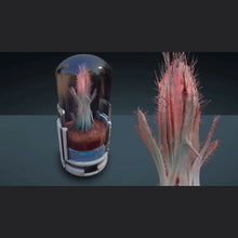 Load image into Gallery viewer, Hab Plant Set - Subscriber Exclusive | Space Foundry Marketplace.