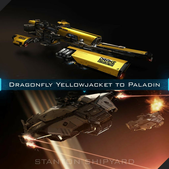 Dragonfly-Yellowjacket-to-Paladin