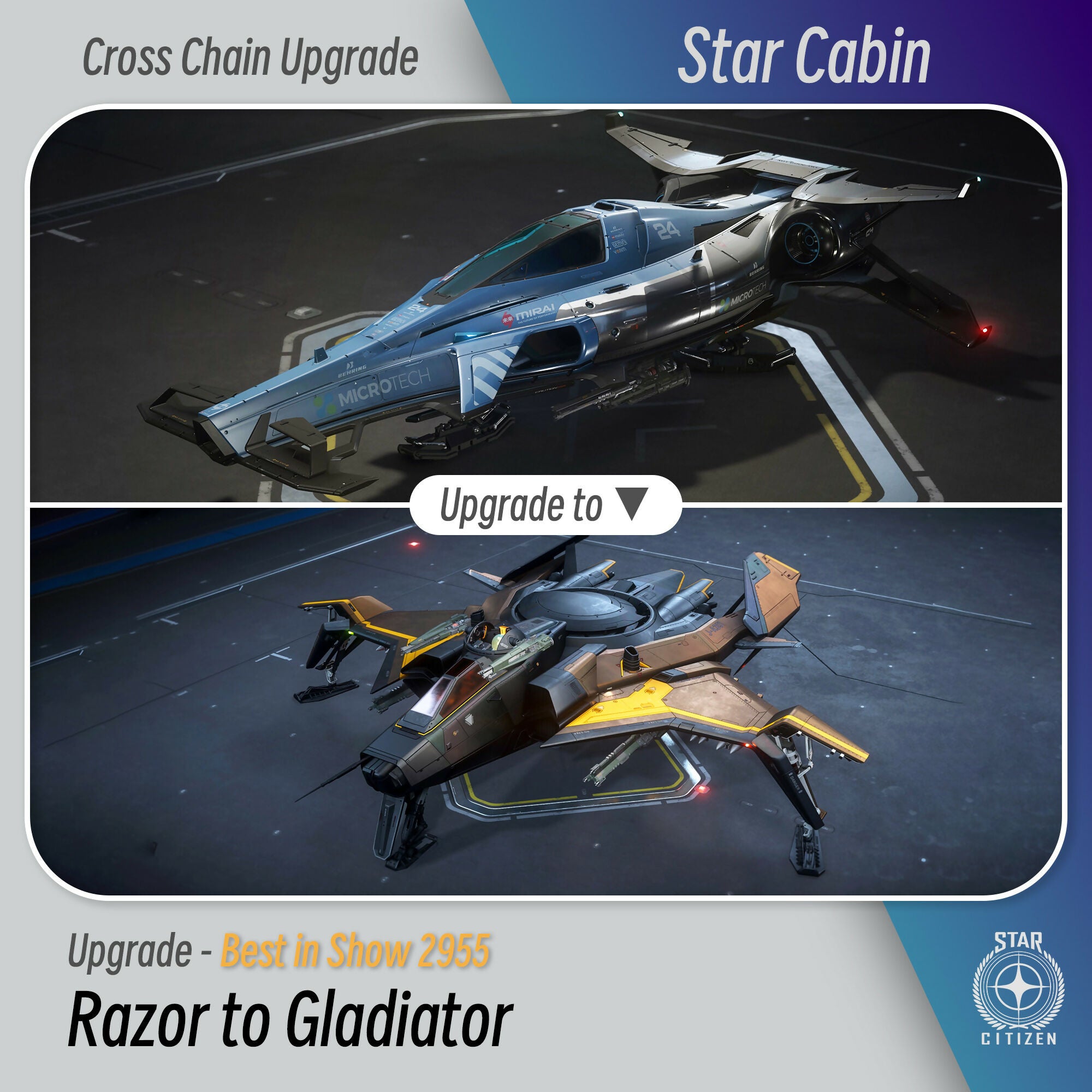 Razor to Gladiator BIS 2955 - Upgrade