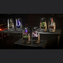 Load image into Gallery viewer, Hab Plant Set - Subscriber Exclusive | Space Foundry Marketplace.