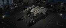 Load image into Gallery viewer, StarCitizen_Guardian_VIP_Sku