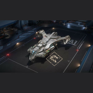 Shiv - OC - LTI - plus Earthquake and Meridian Paint CONCIERGE