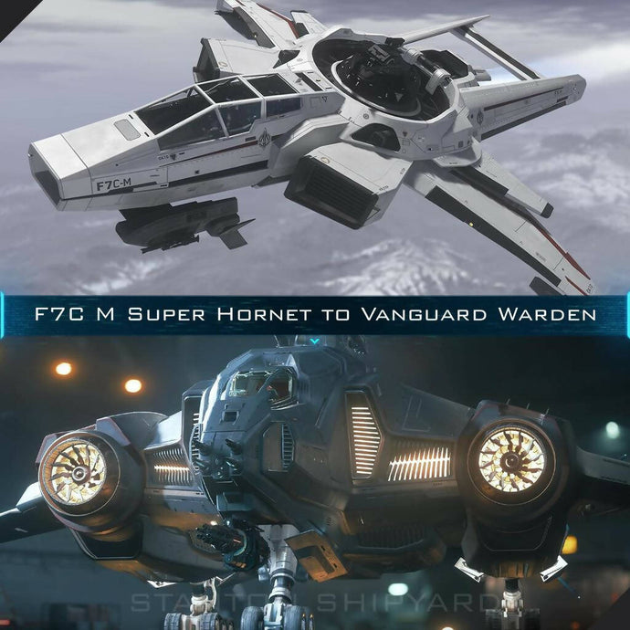Upgrade - F7C-M Super Hornet to Vanguard Warden