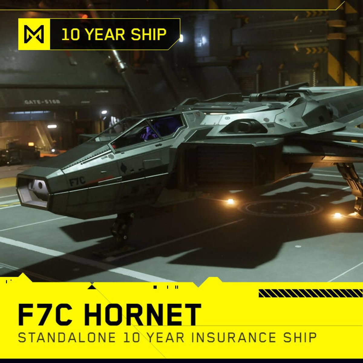 F7C Hornet - 10 Year