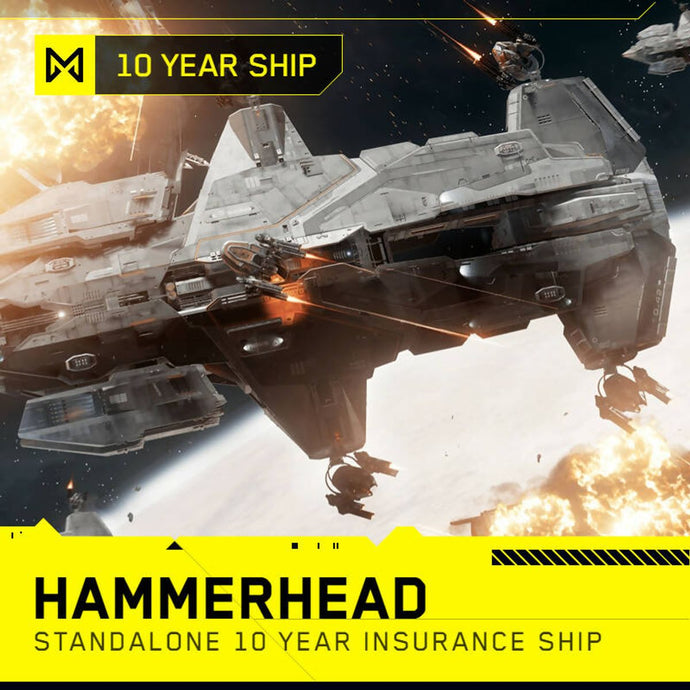 Hammerhead - 10 Year